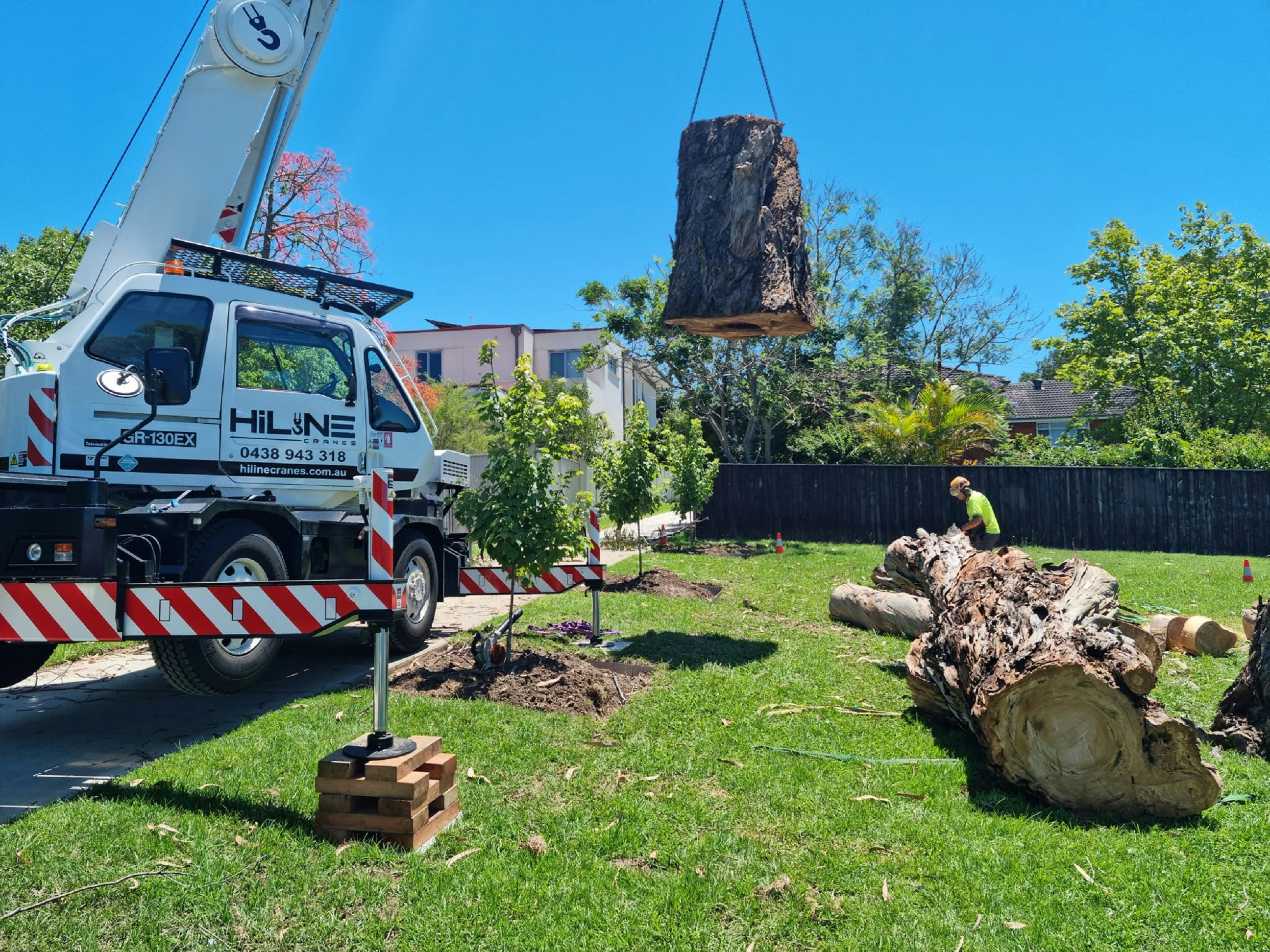 Completed tree service work across Austin and Round Rock