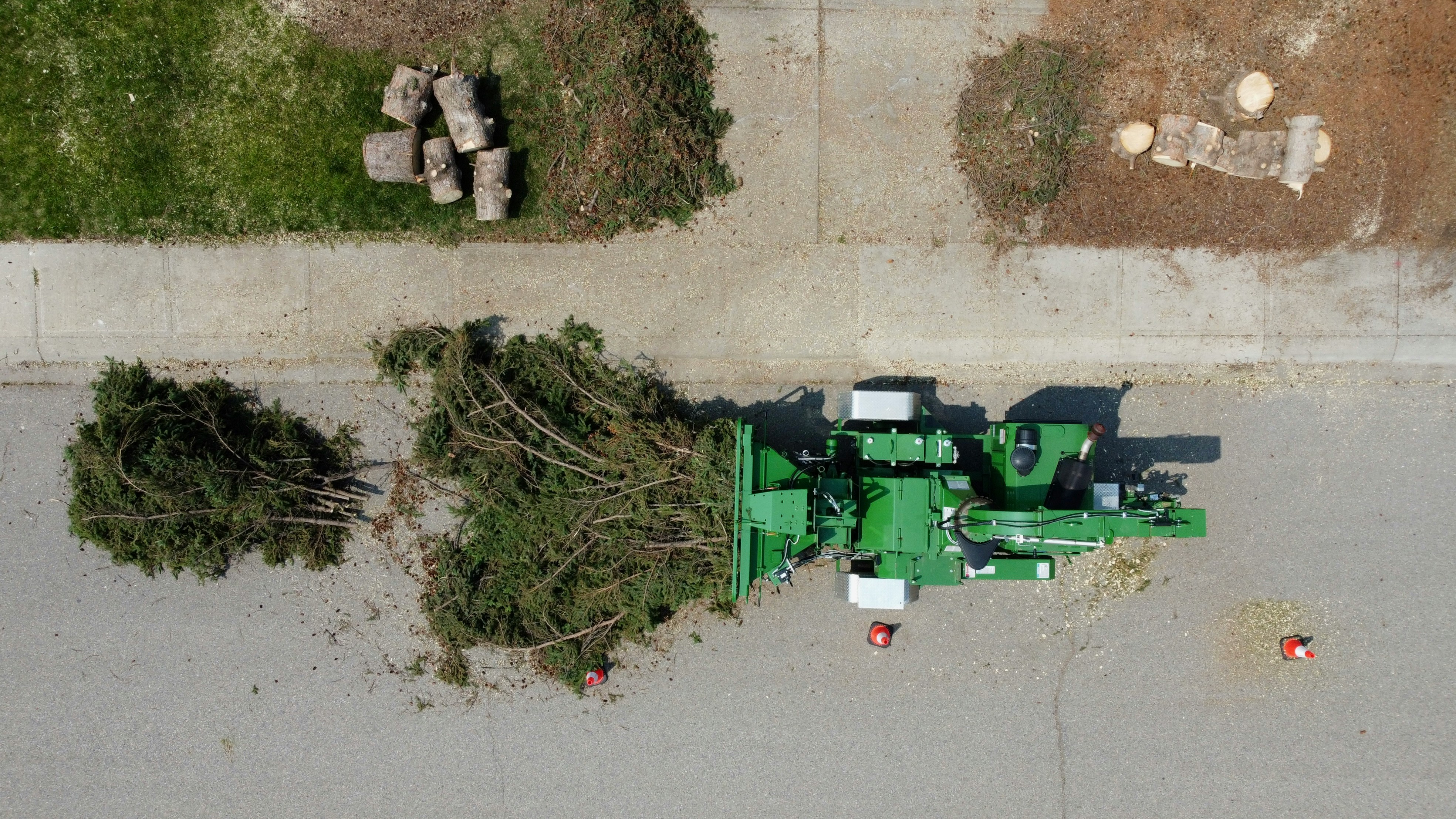 Stump grinding and removal